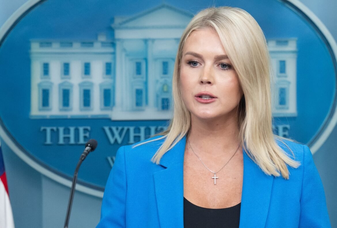 व्हाइट हाउस ने 'किसी भी' सैन्य परेड प्रदर्शनकारियों पर 'भारी बल' का उपयोग करने के लिए ट्रम्प के आह्वान को स्पष्ट करने की कोशिश की